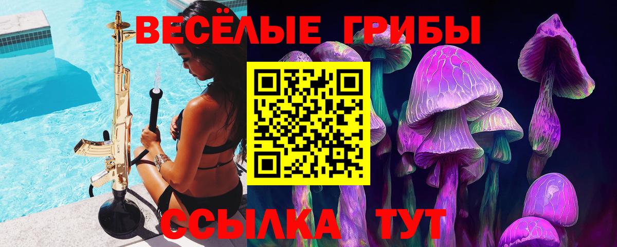 Галлюциногенные грибы MAGIC MUSHROOMS  Вход с VPN  Псилоцибиновые грибы GOLDEN TEACHER  где можно купить наркотик  Кисловодск 