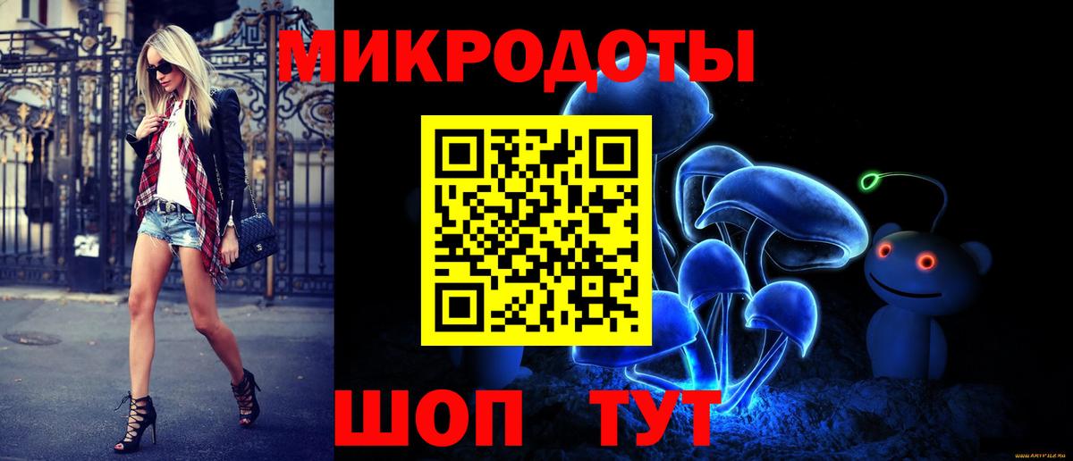 Псилоцибиновые грибы Psilocybine cubensis Кисловодск